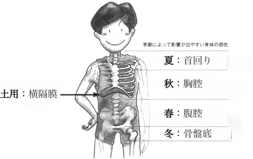 私たちの身体は自然とつながっている