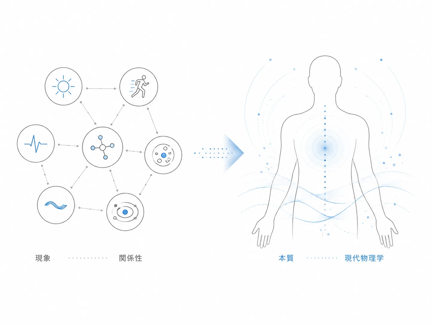 現象と現象の関係性から、生命の本質へ。現代物理学の観点で身体を捉える図