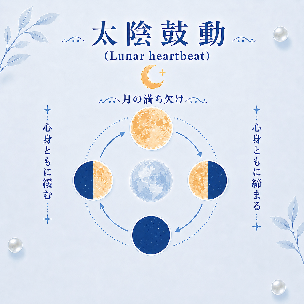 太陰鼓動 Lunar heartbeat 月のリズムと生体リズム