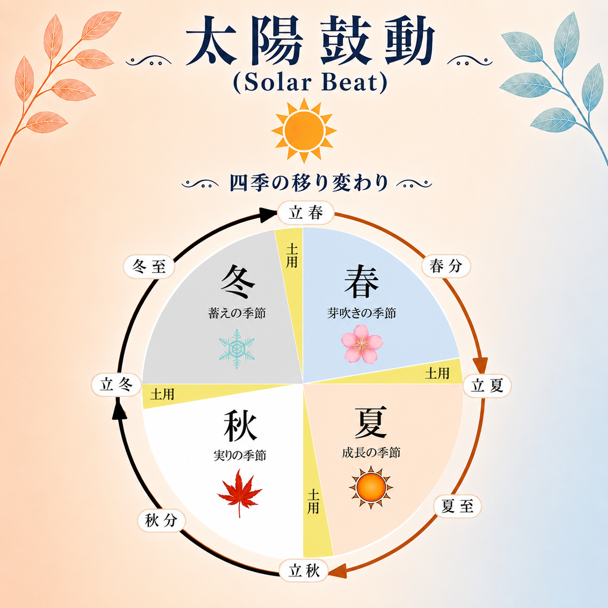 太陽鼓動 Solar beat 太陽のリズムと生体リズム
